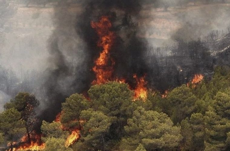 جنگل‌های تنکابن همچنان در آتش