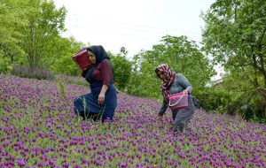 ثبت سه جشنواره مازندران در تقویم گردشگری کشور