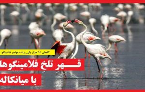 روزنامه های مازندران دوشنبه ۲ بهمن ۱۴۰۲