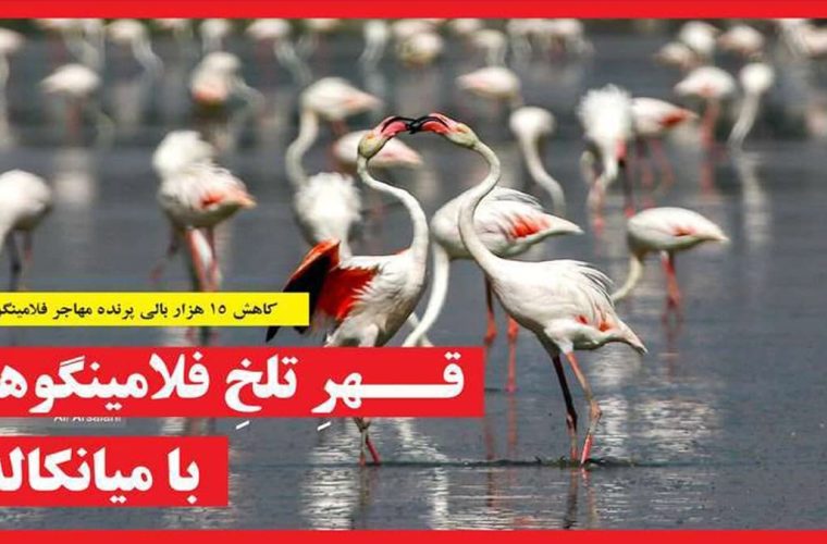 روزنامه های مازندران دوشنبه ۲ بهمن ۱۴۰۲